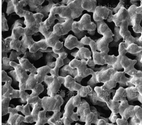 AG4502550银膜 0.45微米过滤膜