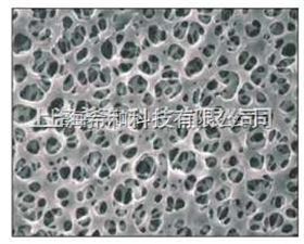 日本ADVANTEC纤维素膜格