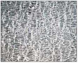 T050A047AADVANTEC疏水性纯PTFE滤膜