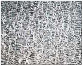 T050A047AADVANTEC疏水性纯PTFE滤膜