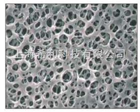 C045A047AADVANTEC醋酸纤维素膜